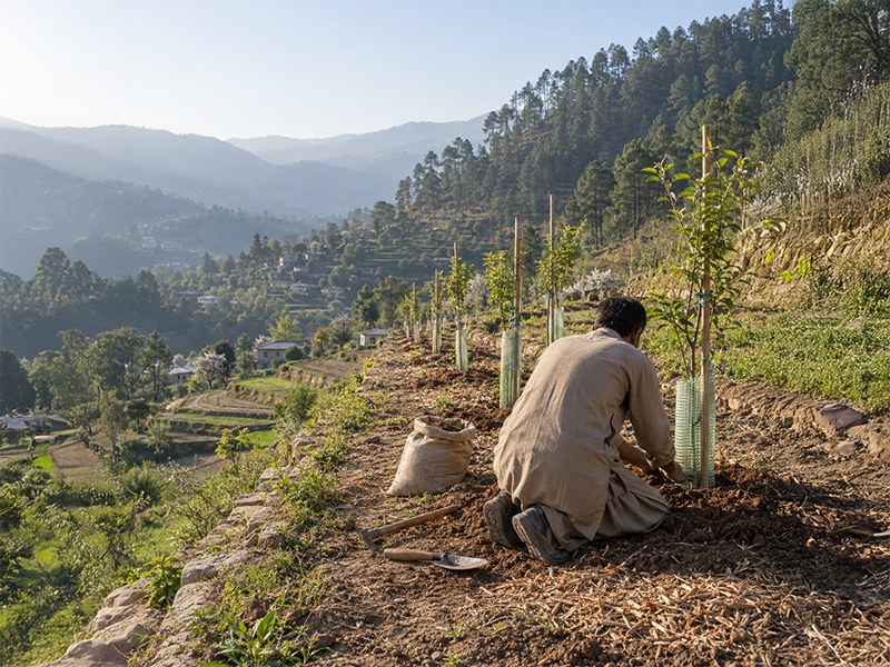 Agricultural Development Programme