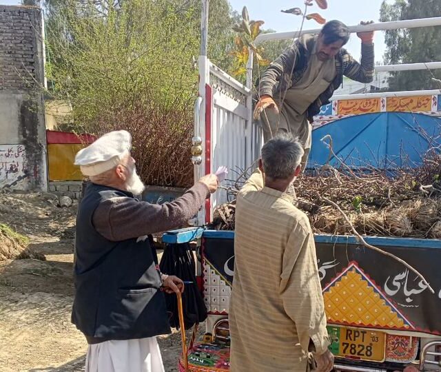 Saplings distributed to farming households