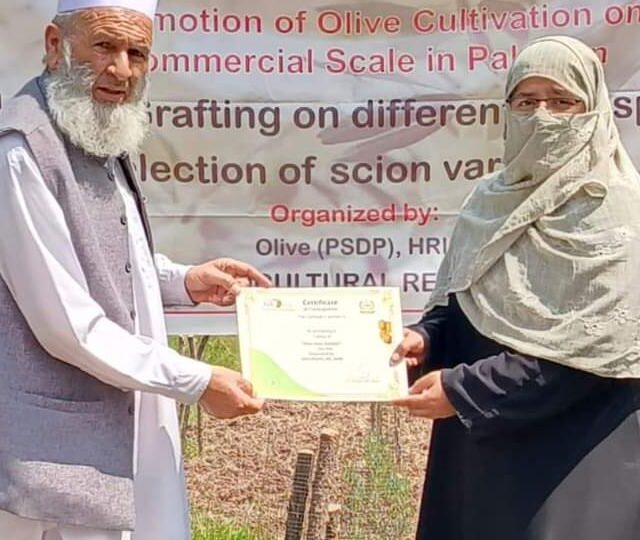 A certificate presented at a training session