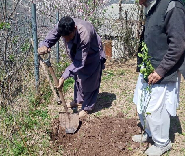 Tree planting with the community