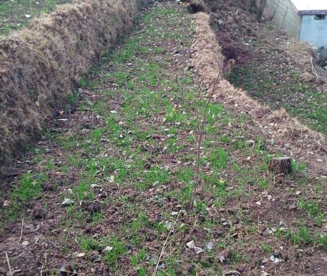 Cultivated terraces in the project area