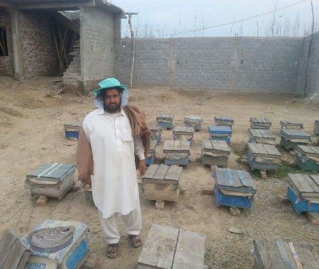 Beekeeping equipment provided as a livelihood asset