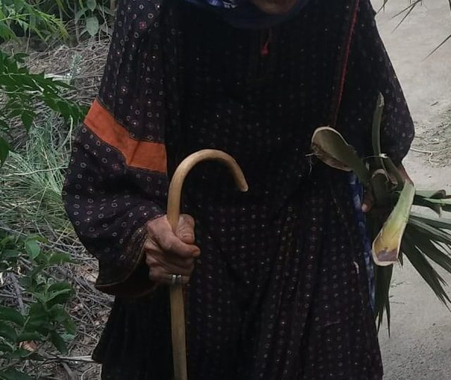 A beneficiary of direct assistance
